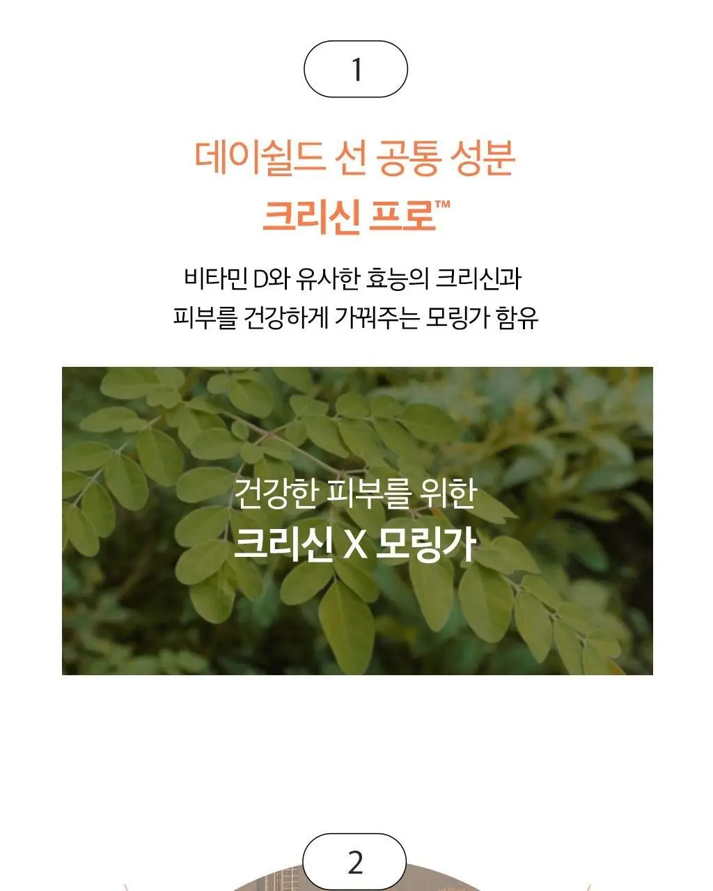 [NEW] 오휘 데이쉴드 퍼펙트 선 50ml 2종 택1 상세페이지 5